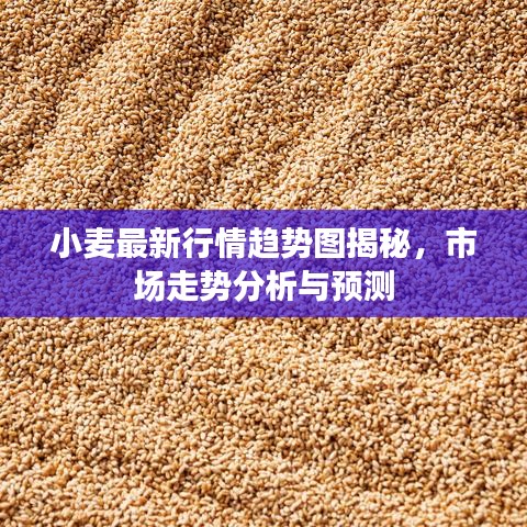 小麦最新行情趋势图揭秘，市场走势分析与预测