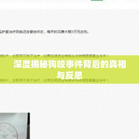 深度揭秘狗咬事件背后的真相与反思