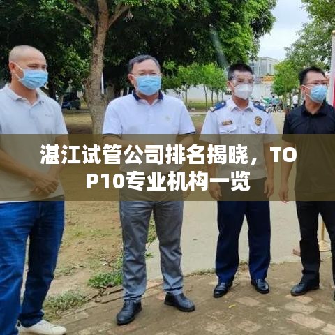 湛江试管公司排名揭晓，TOP10专业机构一览