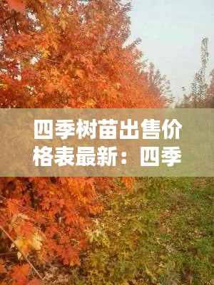 四季树苗出售价格表最新：四季树是什么意思 