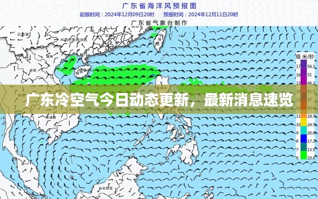 广东冷空气今日动态更新，最新消息速览