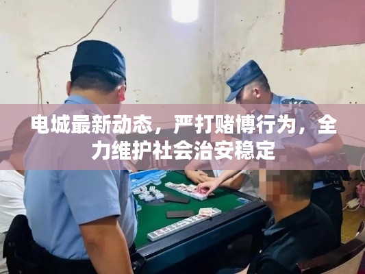 电城最新动态，严打赌博行为，全力维护社会治安稳定