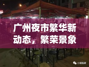 广州夜市繁华新动态，繁荣景象与新兴消息一网打尽