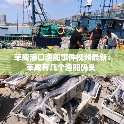 荣成港口渔船事件视频最新：荣成有几个渔船码头 
