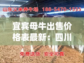宜宾母牛出售价格表最新：四川宜宾养牛场出售小牛 