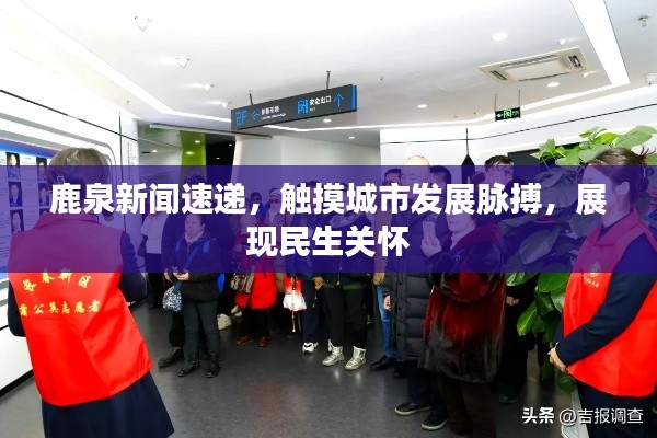 鹿泉新闻速递，触摸城市发展脉搏，展现民生关怀