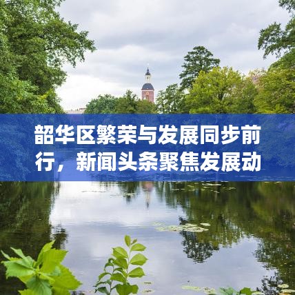 韶华区繁荣与发展同步前行，新闻头条聚焦发展动态