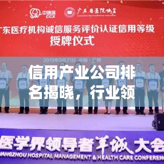 信用产业公司排名揭晓，行业领导者及未来趋势展望