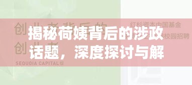 揭秘荷姨背后的涉政话题，深度探讨与解析