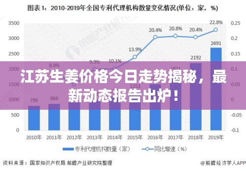 江苏生姜价格今日走势揭秘，最新动态报告出炉！