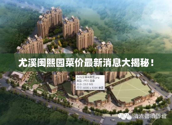 尤溪闽熙园菜价最新消息大揭秘！