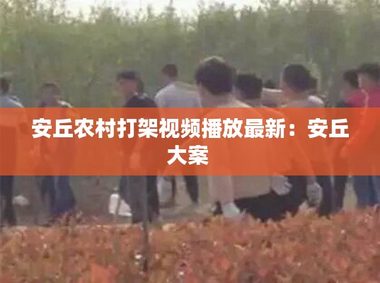 安丘农村打架视频播放最新：安丘大案 