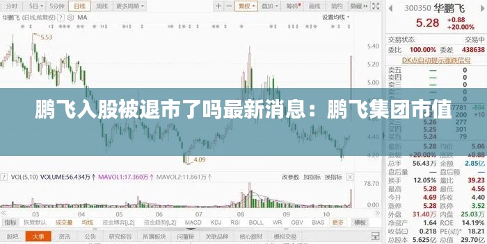 鹏飞入股被退市了吗最新消息：鹏飞集团市值 