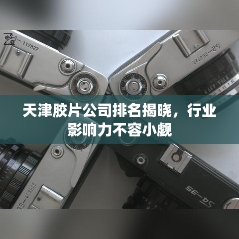 天津胶片公司排名揭晓，行业影响力不容小觑