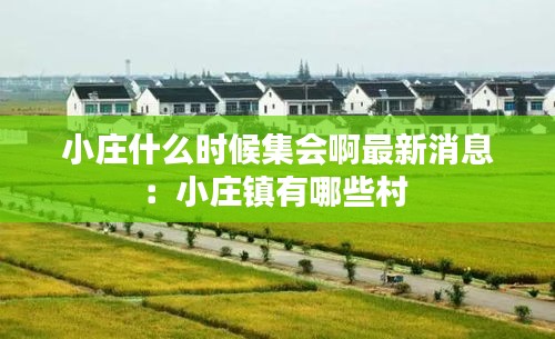 小庄什么时候集会啊最新消息：小庄镇有哪些村 