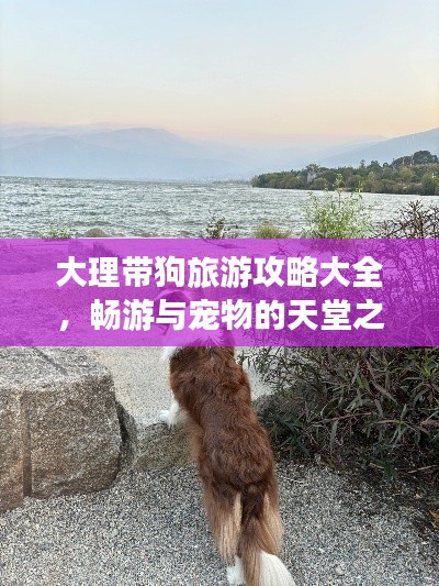 大理带狗旅游攻略大全，畅游与宠物的天堂之旅！