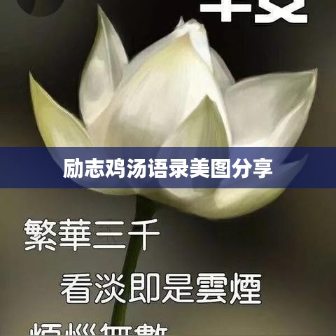 励志鸡汤语录美图分享
