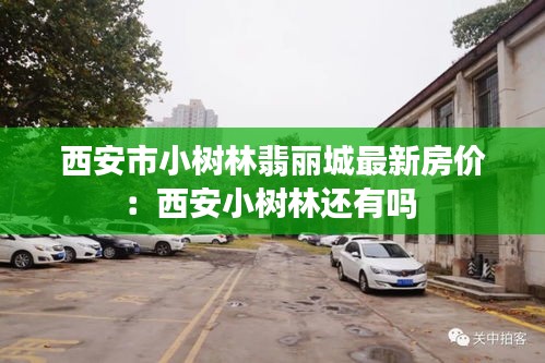 鸡飞狗跳 第2页