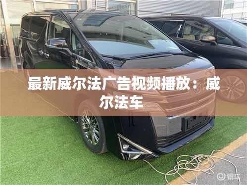 最新威尔法广告视频播放：威尔法车 