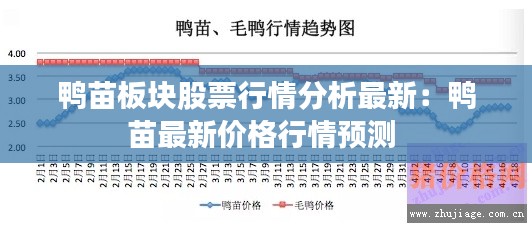 鸭苗板块股票行情分析最新：鸭苗最新价格行情预测 