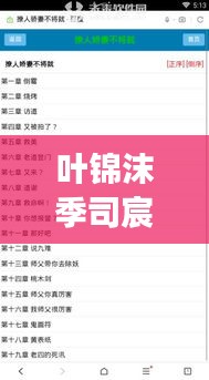 叶锦沫季司宸小说最新章节更新：叶萌墨锦城季凉谦全文免费阅读 