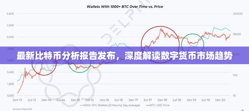 最新比特币分析报告发布，深度解读数字货币市场趋势
