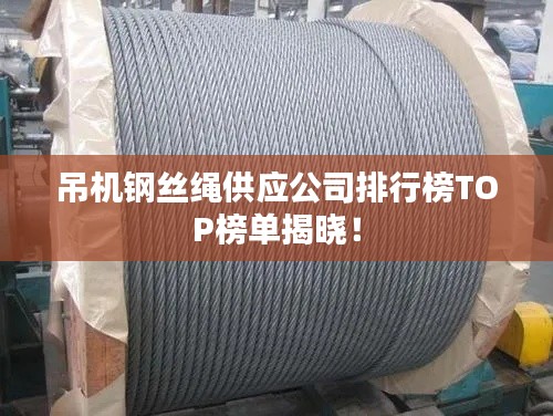 吊机钢丝绳供应公司排行榜TOP榜单揭晓！