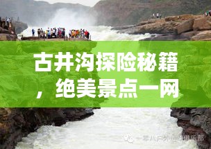 东张西望 第2页