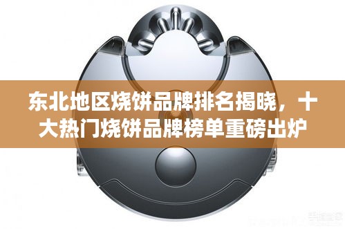 东北地区烧饼品牌排名揭晓，十大热门烧饼品牌榜单重磅出炉！