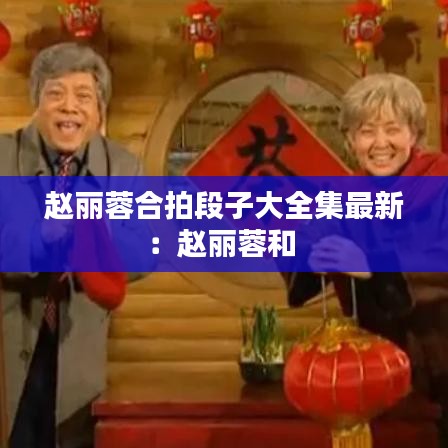 赵丽蓉合拍段子大全集最新：赵丽蓉和 