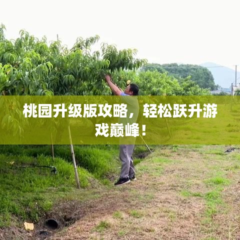 桃园升级版攻略，轻松跃升游戏巅峰！