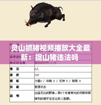 灵山抓猪视频播放大全最新：捉山猪违法吗 