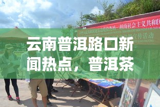 云南普洱路口新闻热点，普洱茶繁荣引领路口新发展