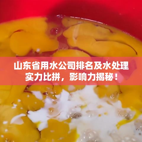 山东省用水公司排名及水处理实力比拼，影响力揭秘！