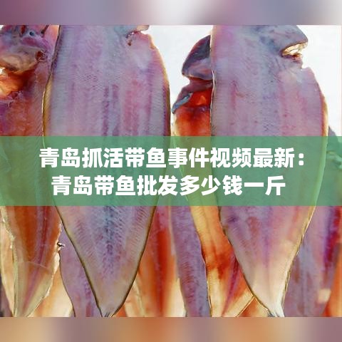 青岛抓活带鱼事件视频最新：青岛带鱼批发多少钱一斤 
