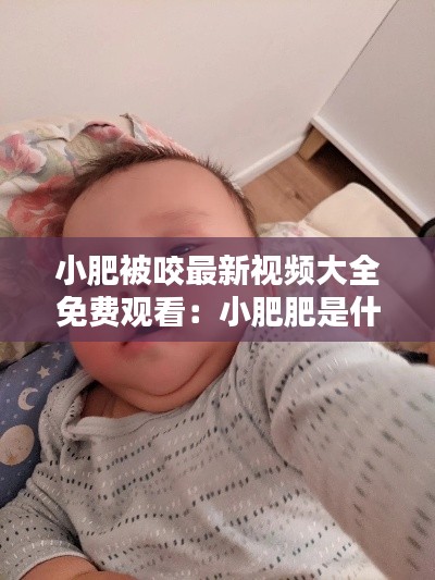 小肥被咬最新视频大全免费观看：小肥肥是什么 