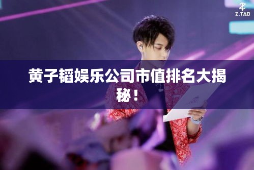黄子韬娱乐公司市值排名大揭秘！
