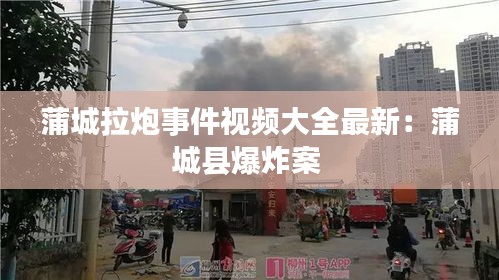 蒲城拉炮事件视频大全最新：蒲城县爆炸案 