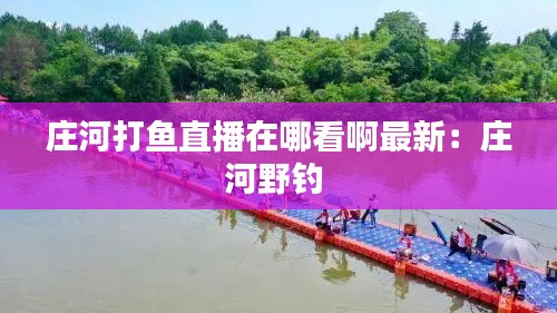 庄河打鱼直播在哪看啊最新：庄河野钓 