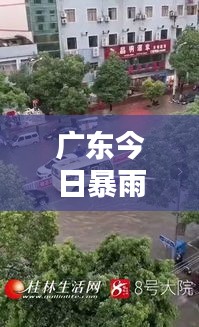 广东今日暴雨倾盆，最新雨情速报