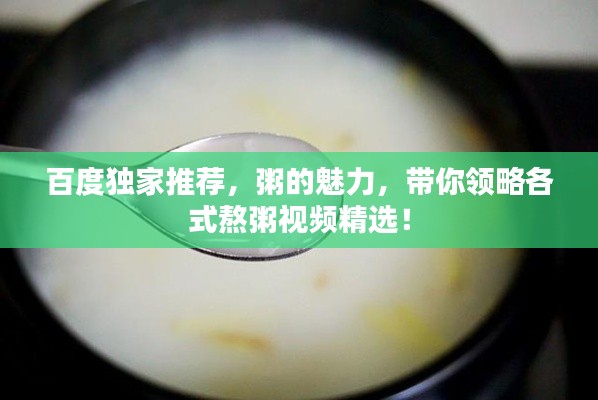 百度独家推荐，粥的魅力，带你领略各式熬粥视频精选！