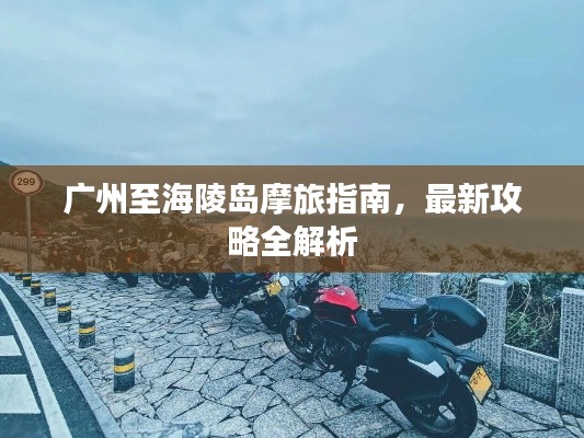 鸟惊鼠窜 第2页