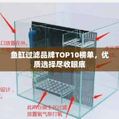 鱼缸过滤品牌TOP10榜单，优质选择尽收眼底