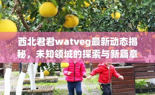 西北君君watveg最新动态揭秘，未知领域的探索与新篇章的展现