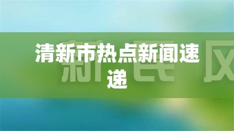 清新市热点新闻速递
