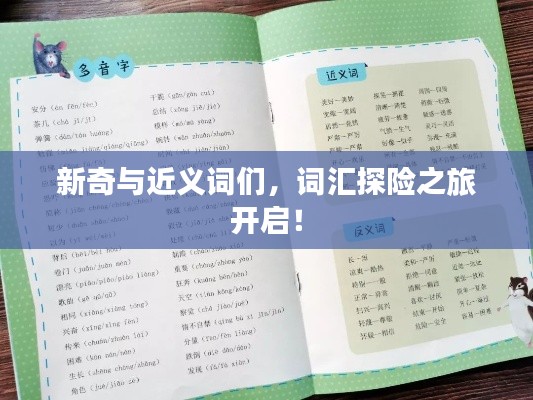 新奇与近义词们，词汇探险之旅开启！