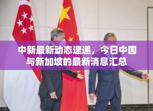 中新最新动态速递，今日中国与新加坡的最新消息汇总