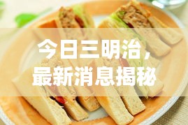 今日三明治，最新消息揭秘！