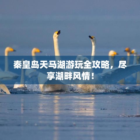 澹泊明志，宁静致远 第2页