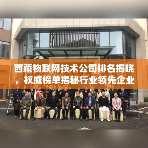 西藏物联网技术公司排名揭晓，权威榜单揭秘行业领先企业！